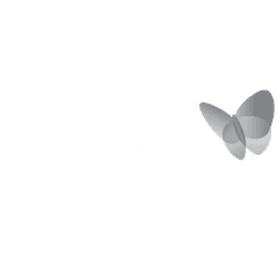 MSN